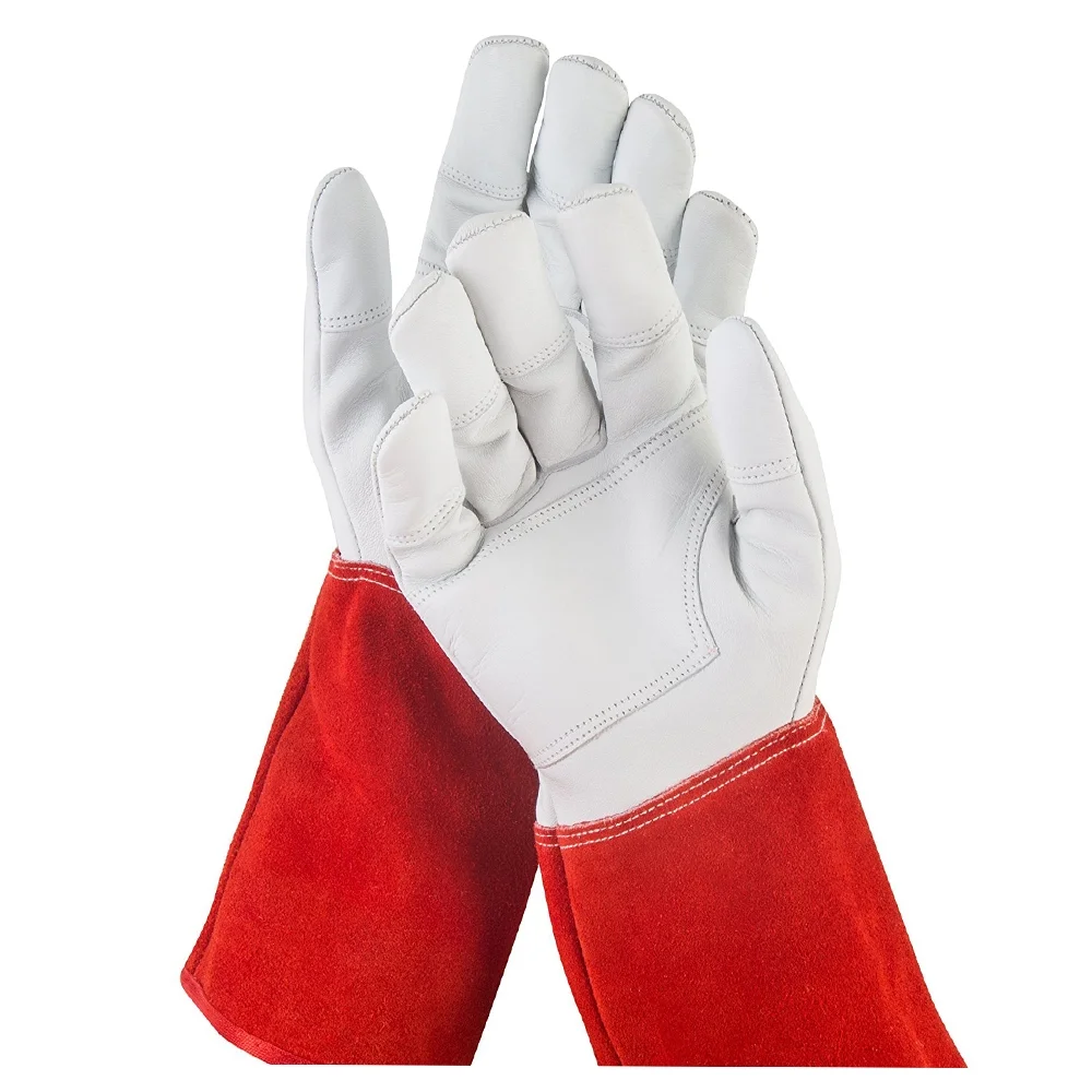 Safety Gloves 