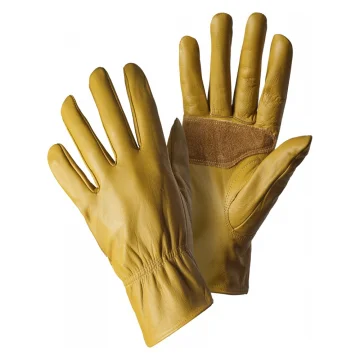 Safety Gloves 