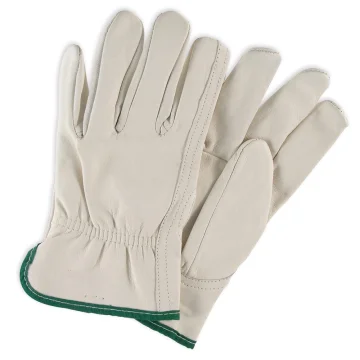 Safety Gloves 