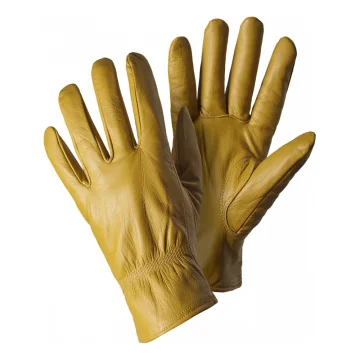 Safety Gloves 